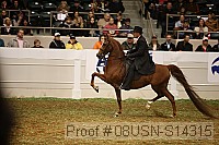 08usn-s14315 proof