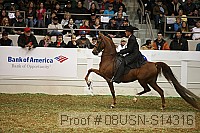08usn-s14316 proof
