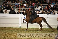 08usn-s14317 proof