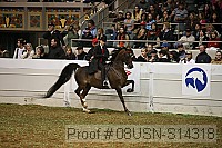 08usn-s14318 proof