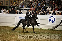 08usn-s14319 proof