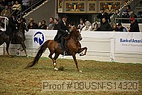 08usn-s14320 proof