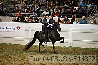 08usn-s14322 proof