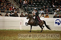 08usn-s14324 proof