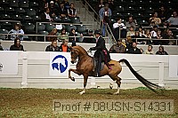 08usn-s14331 proof
