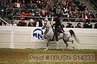 08usn-s14333 proof