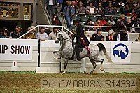 08usn-s14334 proof