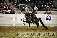08usn-s14336 proof
