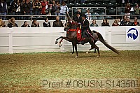 08usn-s14350 proof