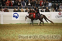 08usn-s14351 proof