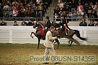 08usn-s14356 proof