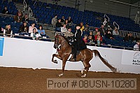 08usn-10280 proof