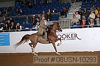 08usn-10293 proof