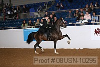 08usn-10295 proof