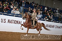 08usn-10299 proof