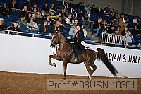 08usn-10301 proof