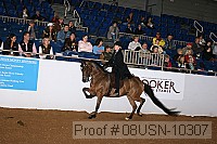 08usn-10307 proof