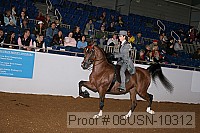 08usn-10312 proof