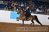 08usn-10313 proof