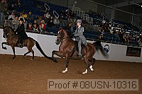 08usn-10316 proof