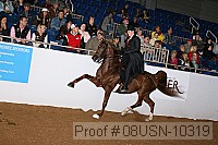 08usn-10319 proof