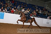 08usn-10320 proof