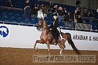 08usn-10335 proof