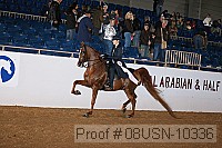08usn-10336 proof
