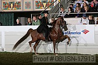 08usn-17913 proof