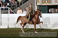08usn-17915 proof