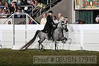 08usn-17916 proof