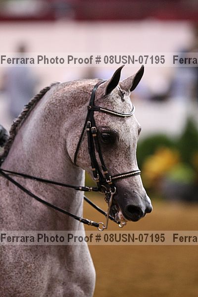 Proof 08usn-07195
