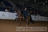 08usn-07196 proof