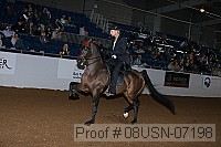 08usn-07198 proof