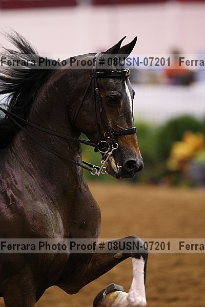 Proof 08usn-07201