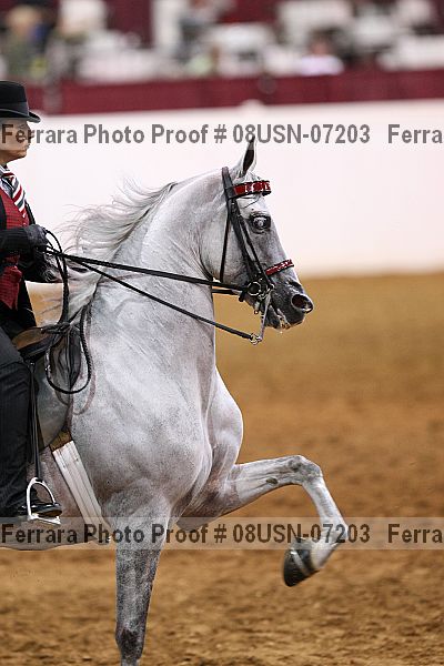 Proof 08usn-07203