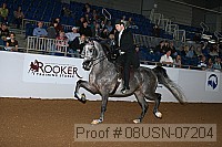 08usn-07204 proof
