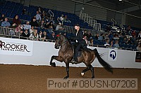 08usn-07208 proof