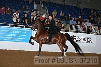 08usn-07210 proof