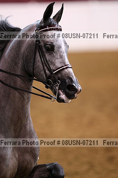 Proof 08usn-07211