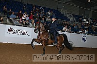 08usn-07218 proof