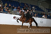 08usn-07223 proof