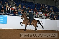 08usn-07224 proof
