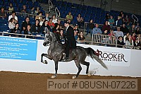 08usn-07226 proof