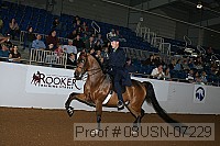 08usn-07229 proof