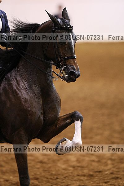 Proof 08usn-07231