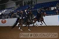 08usn-07234 proof