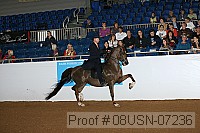08usn-07236 proof