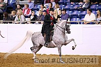 08usn-07241 proof