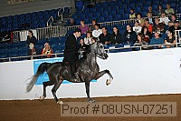 08usn-07251 proof